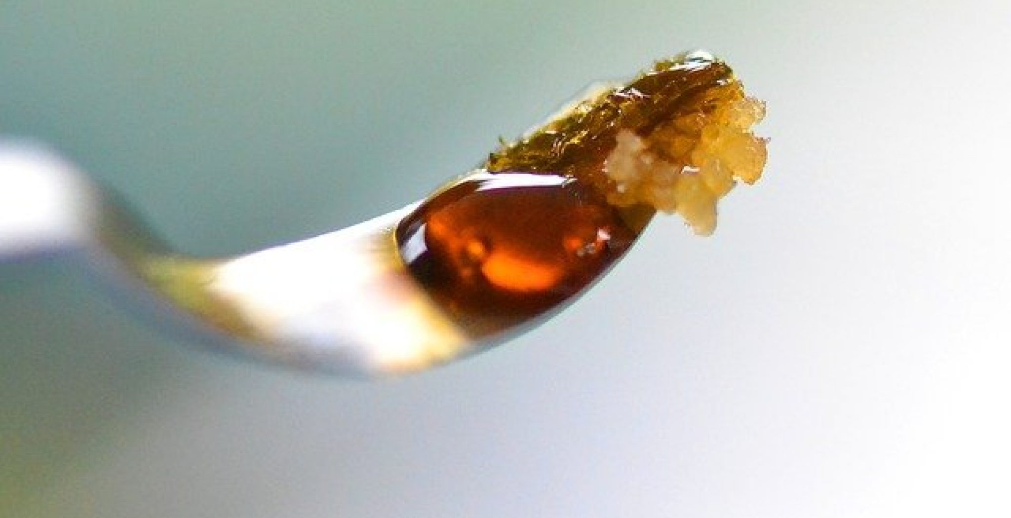Lemon Haze Shatter Canada – Shop Premium Extracts Like Diamond Sauce at Shatter Online Canada
