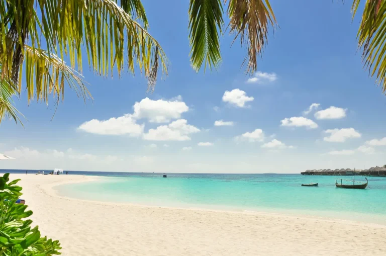 Genießen Sie Blumenfeste & Strandtage mit Reisezeit Japan und Malediven