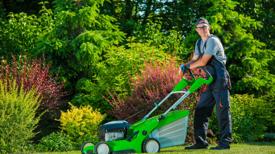 Why Professional Lawn Care Prevents Long-Term Turf Damage