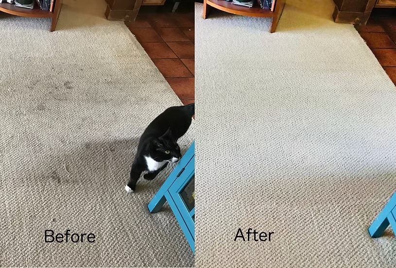 Carpet Cleaning Dubai: Professional Care for Spotless and Hygienic Carpets